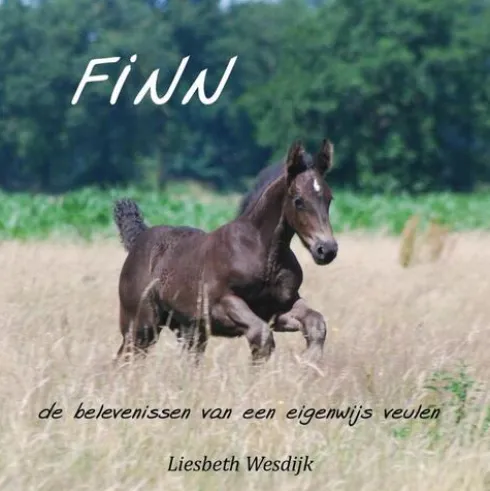 Finn