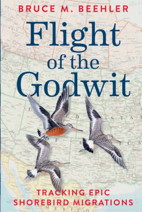 Flight of the Godwit
