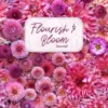 Flourish and Bloom Journal
