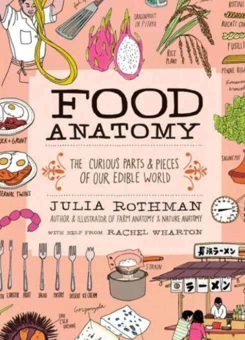 Food Anatomy