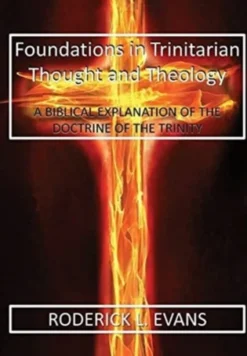 Foundations in Trinitarian Thought and Theology
