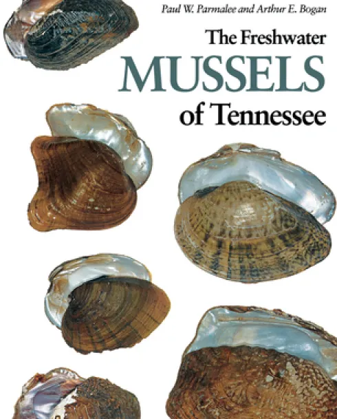 Freshwater Mussels Tennessee