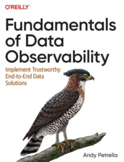 Fundamentals of Data Observability
