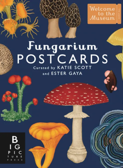 Fungarium Postcard Box Set