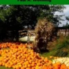 Gardener's Guide to the Pumpkin and Winter Squash: Growing, Harvesting and Storing Pumpkins and Winter Squash