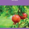 Granaatappelboom En Andere Verhalen