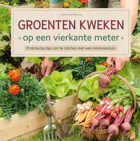 Groenten kweken op een vierkante meter