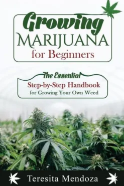 Growing Marijuana for Beginners