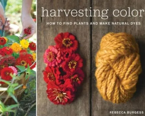 Harvesting Color
