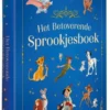 Het betoverende sprookjesboek