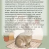 Het binnenkonijn