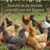 Het gedrag van kippen begrijpen