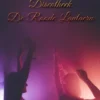 Het geheim van Discotheek De Roode Lantaern