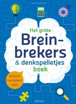 Het grote breinbrekers en denkspelletjes boek