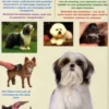 Het grote trim-, knip- en verzorgingsboek voor honden