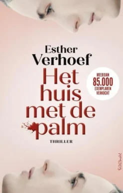 Het huis met de palm