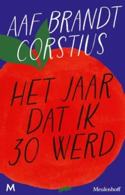 Het jaar dat ik 30 werd