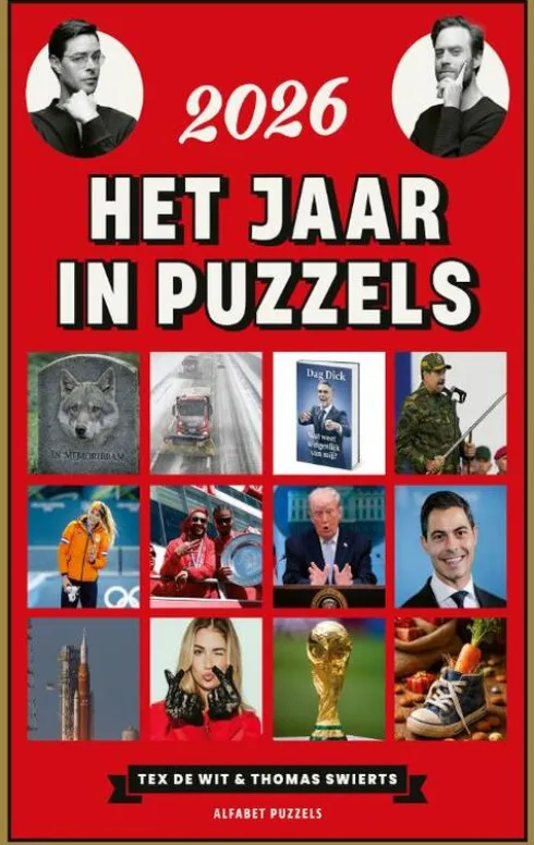 Het jaar in puzzels