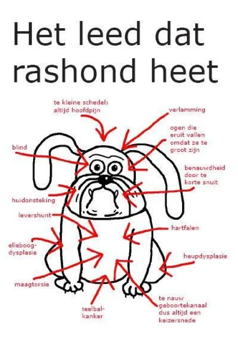 Het leed dat rashond heet