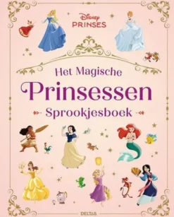 Het magische Prinsessen sprookjesboek