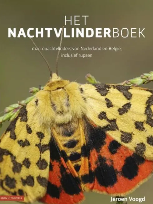 Het nachtvlinderboek