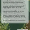 Het plantenterrarium