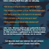 Het SAS Survival handboek