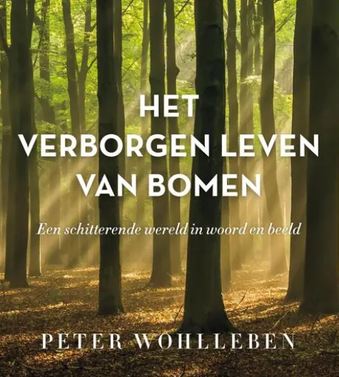 Het verborgen leven van bomen