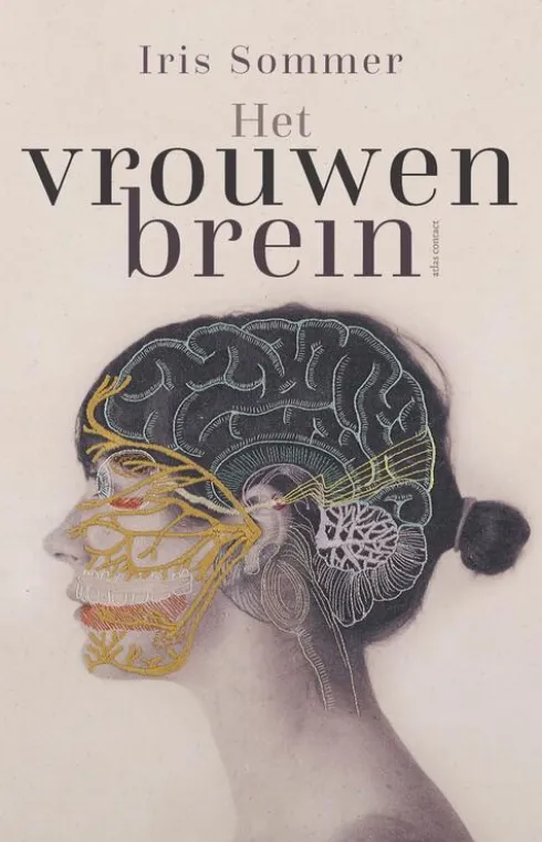 Het vrouwenbrein