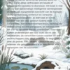 Het wonder van de winterslaap