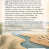 Het wonder van het wad