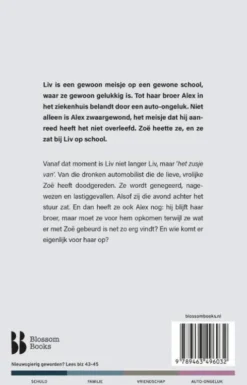 Het zusje van