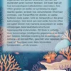 Hoe koralen riffen bouwen
