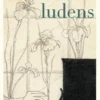 Homo ludens