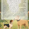 Hond Introduceren Bij Een Andere Hond