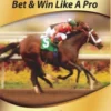 Horse Racing: Gambling to Win: Bet & Win Like A Pro