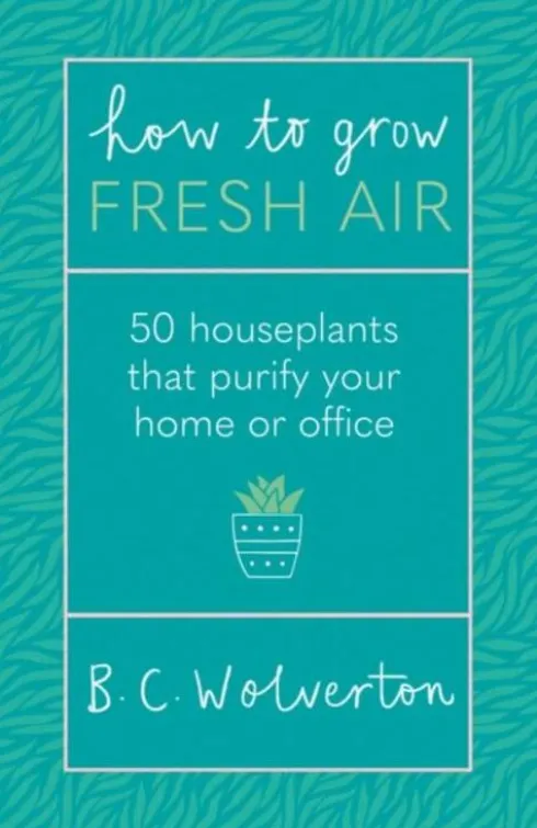 How To Grow Fresh Air