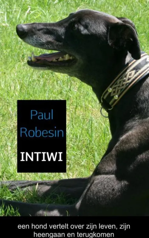 Intiwi