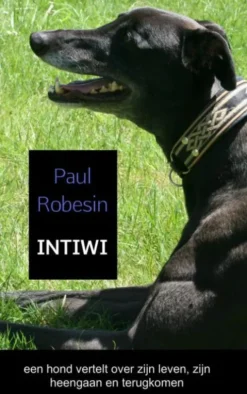 Intiwi