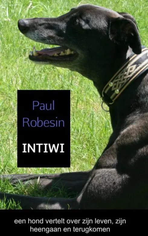 Intiwi