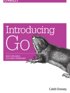 Introducing Go