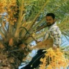 Iraq / Baghdad