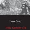 Irish het geheim v/d ruine 2