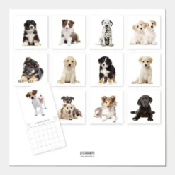 Jaarkalender Honden 2027