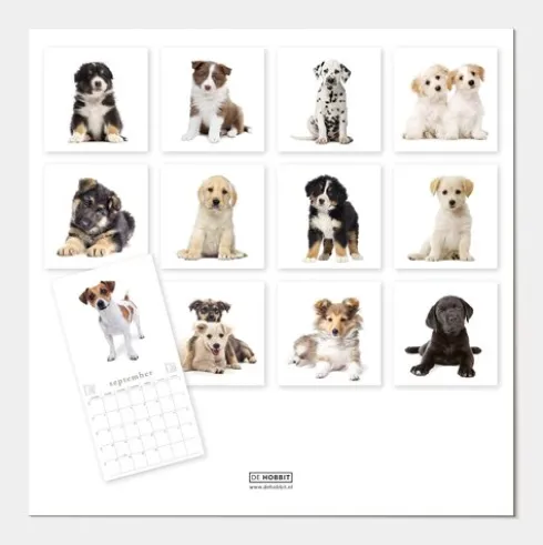Jaarkalender Honden 2027
