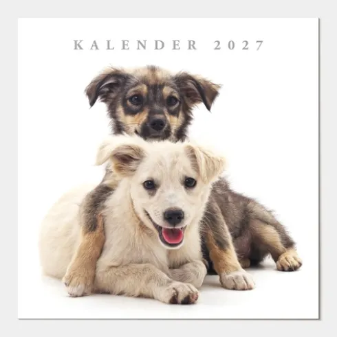 Jaarkalender Honden 2027