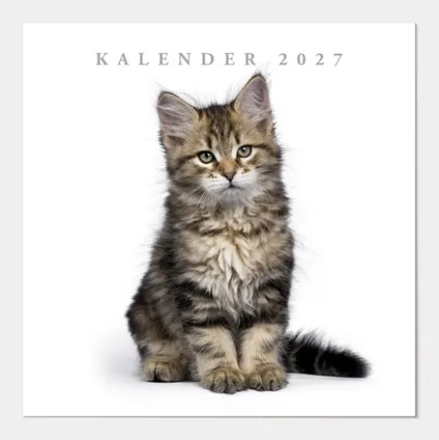 Jaarkalender Katten 2027