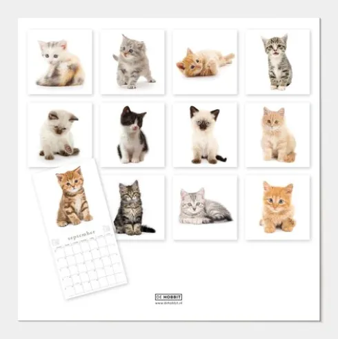 Jaarkalender Katten 2027