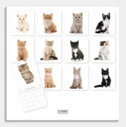 Jaarkalender Katten 2026