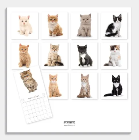 Jaarkalender Katten 2026